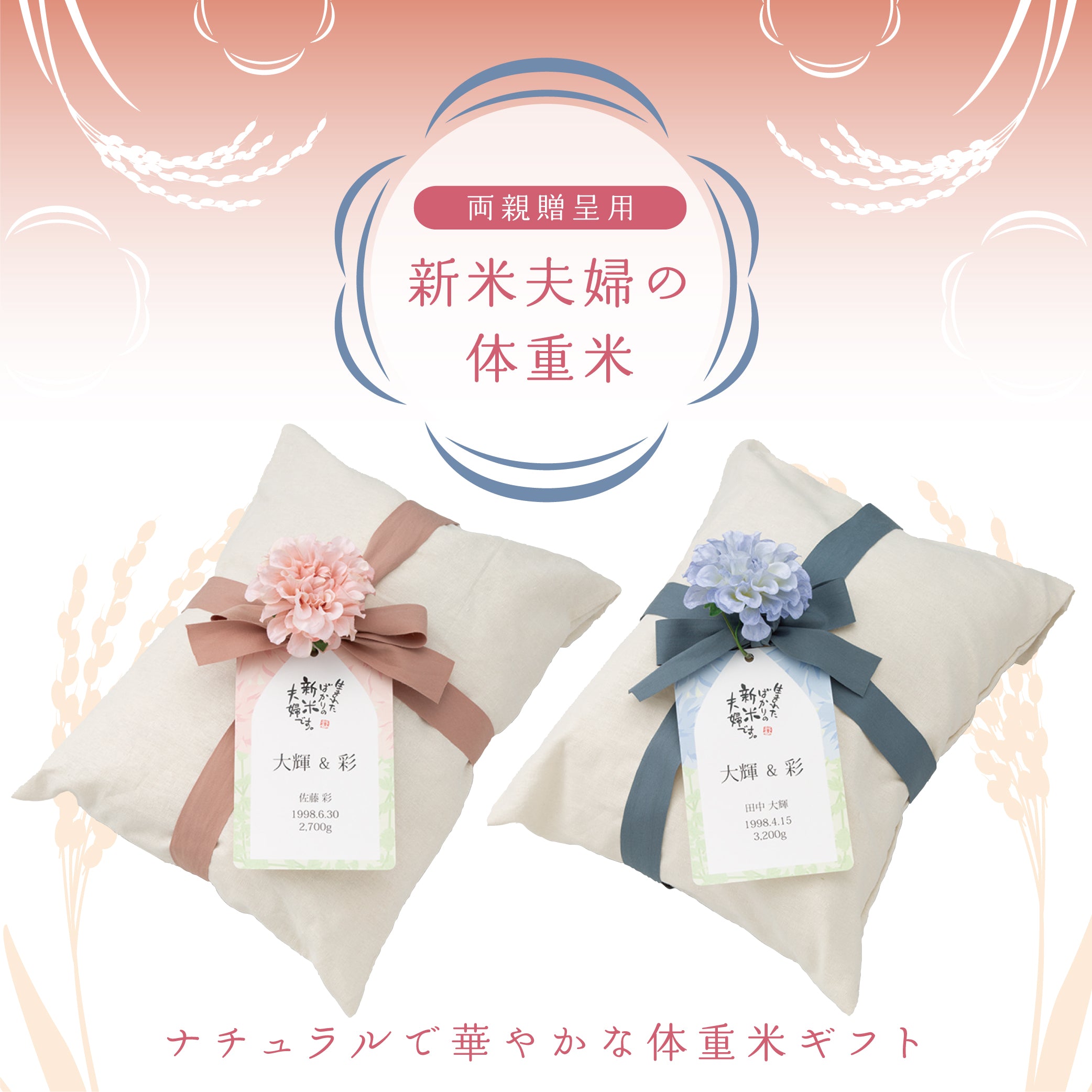 神戸婦人　キヌムスメ1袋 神戸婦人 キヌムスメ1袋 楽天市場】きぬむすめ（米・雑穀｜食品