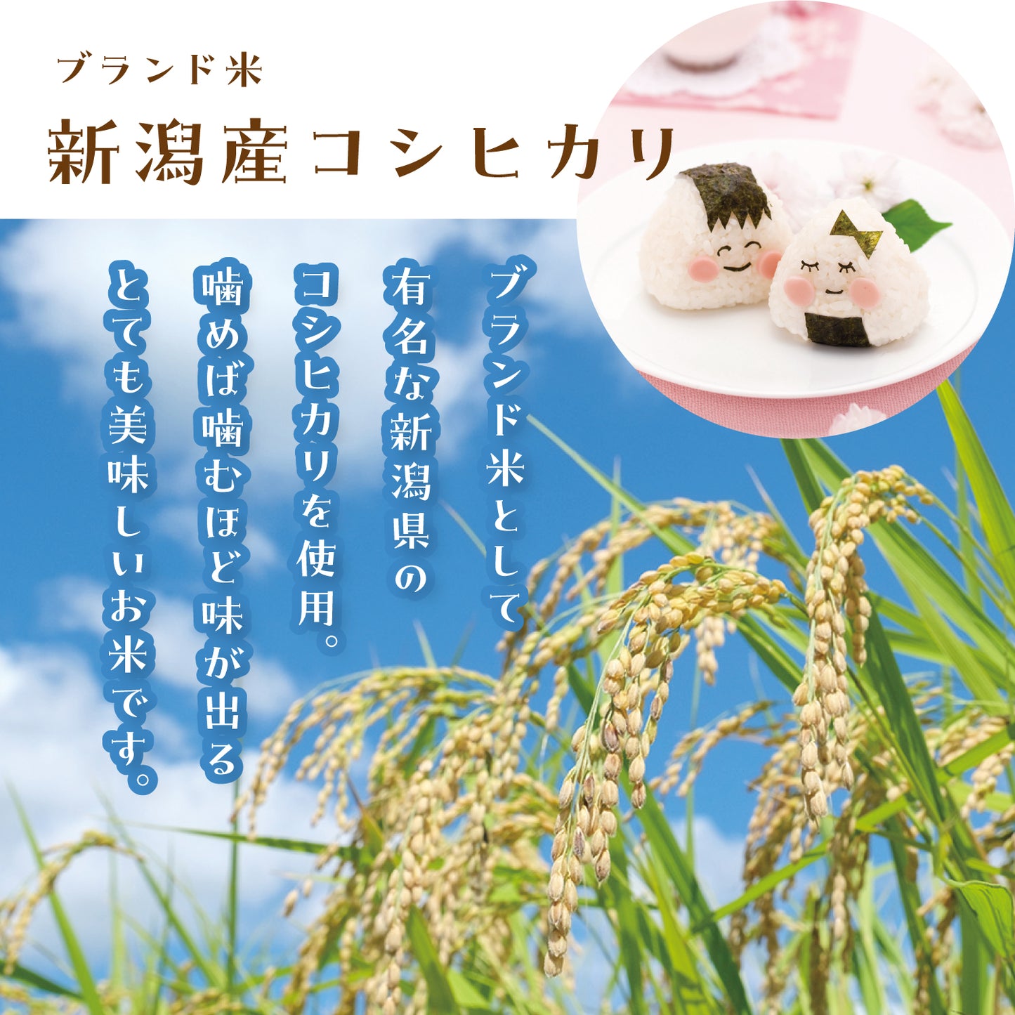 名入れができるお米と鯛型お茶漬け最中のセット【新米家族】