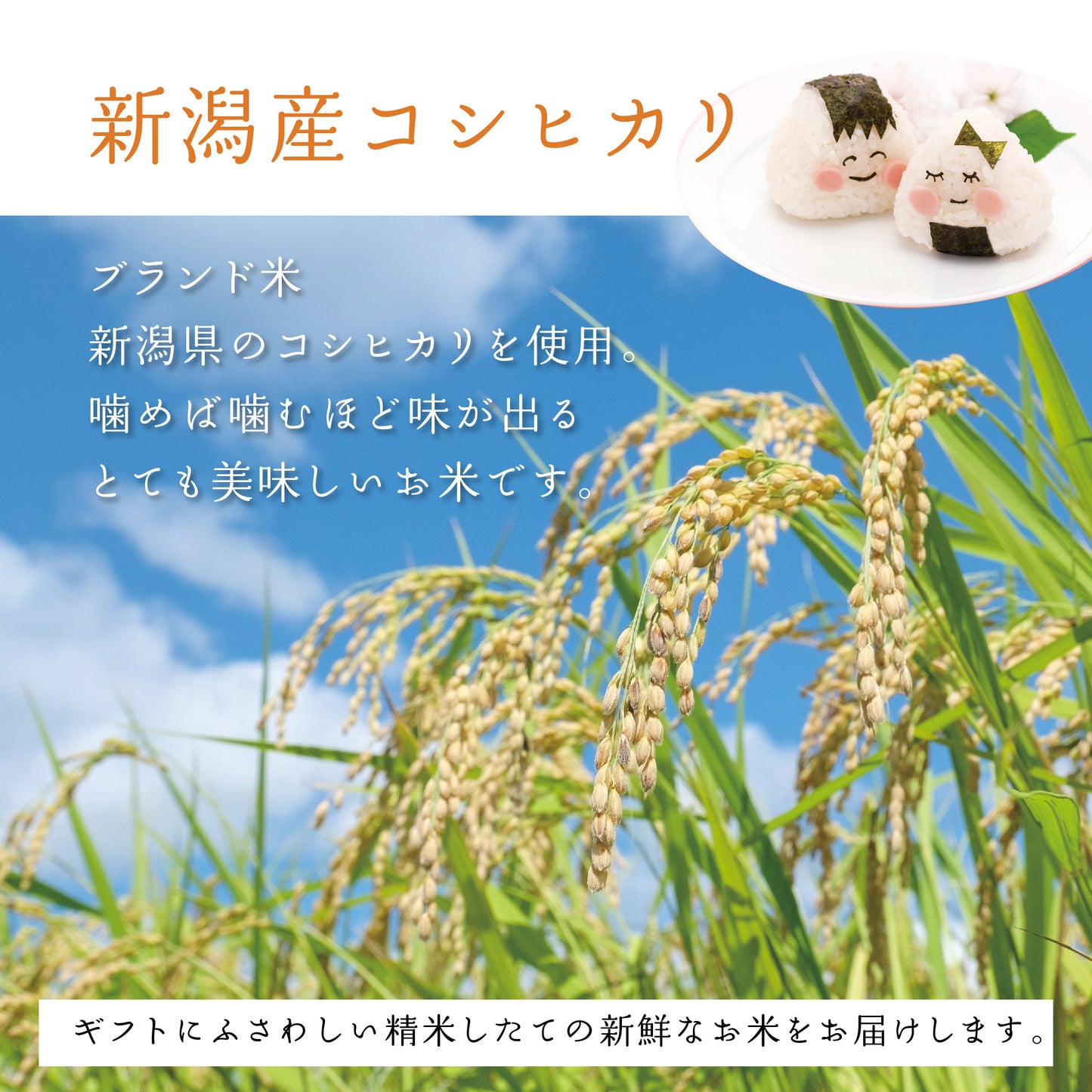 名入れができるお米と鯛型みそ汁最中のセット【新米夫婦】